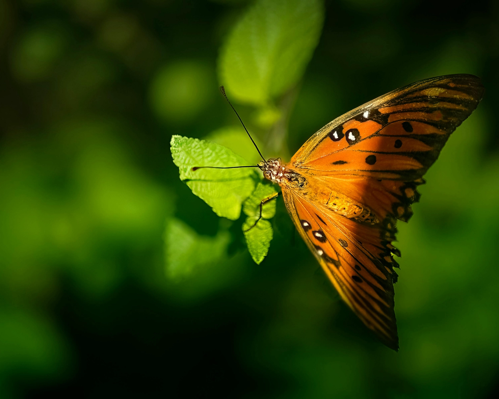 Team reviewing outcomes dashboards